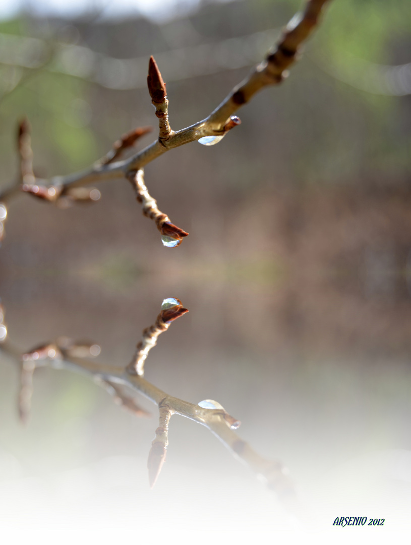 GOTAS DE LLUVIA