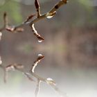 GOTAS DE LLUVIA