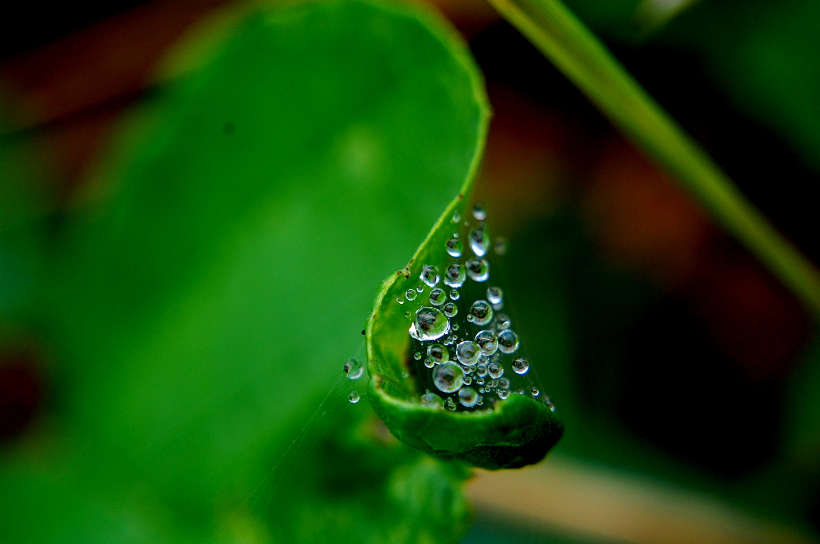 gotas de lluvia que al caer...