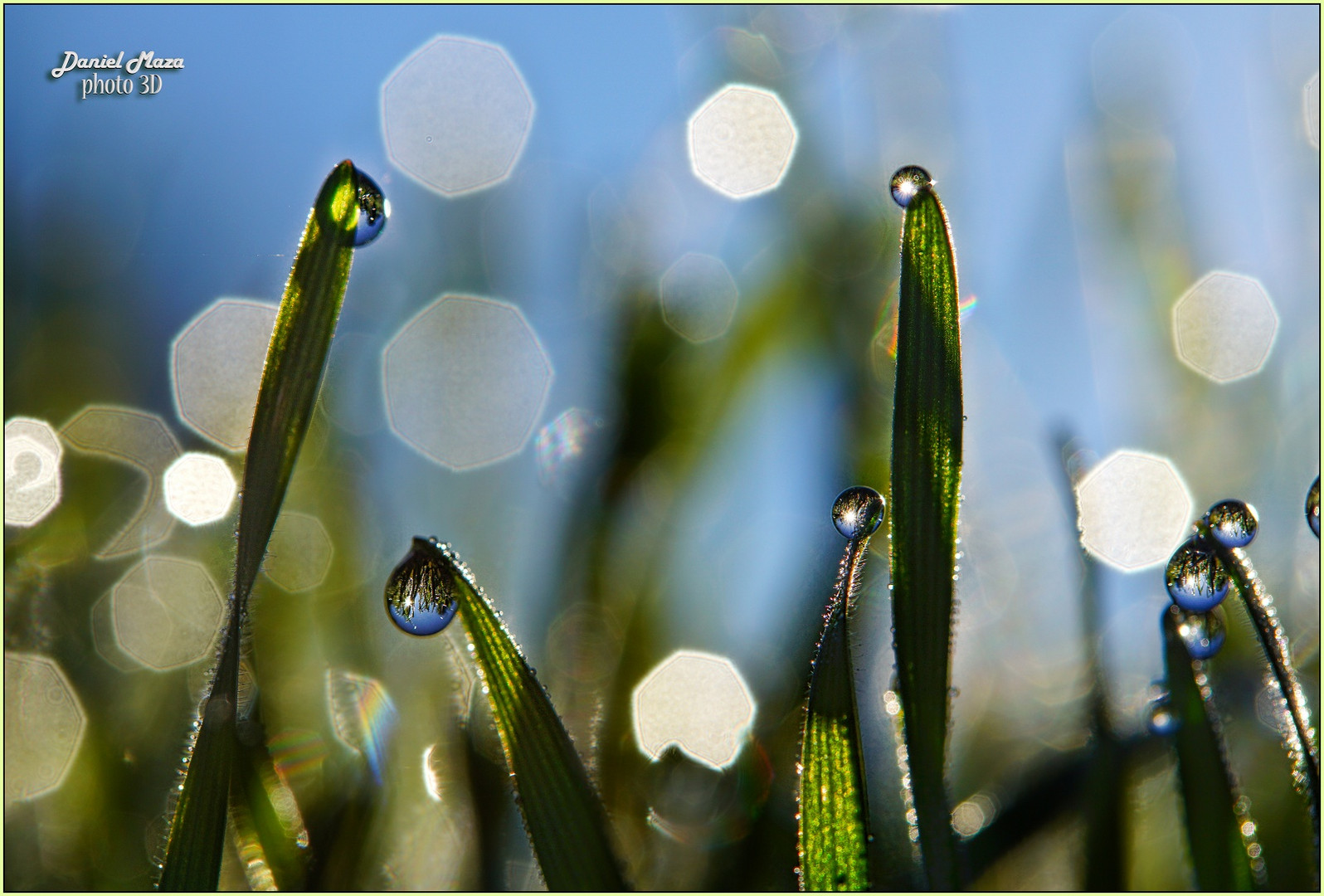 Gotas de rocío