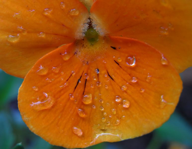 Gotas en el pensamiento