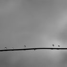 Gotas en equilibrio 1