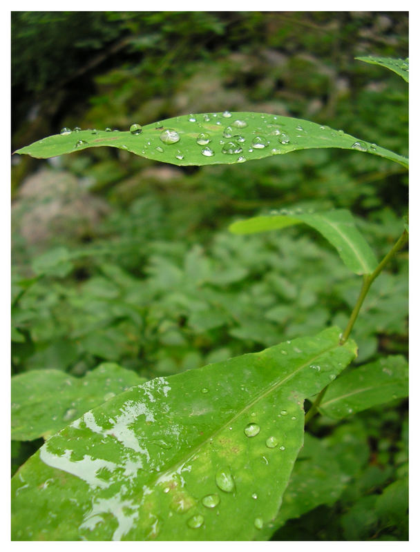 Gotas en equilibrio