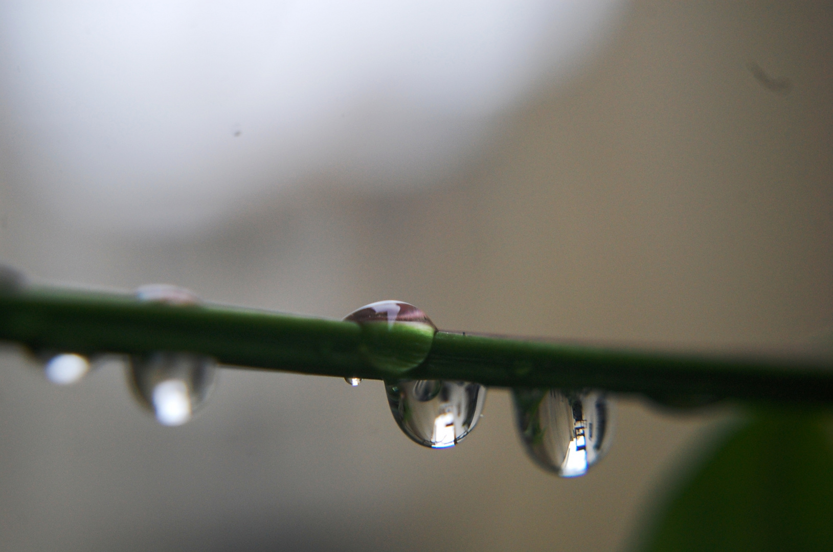 gotas...de lluvia