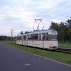 Gotha Zug am Buga Park