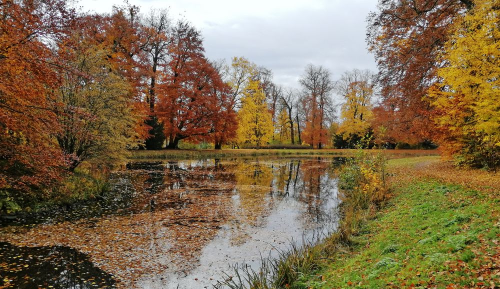 Gothaer Parkteich