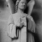 Gothic Angel Amiens 