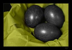 Gothic Eggs