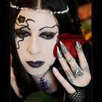 -- Gothic Roses 2 --