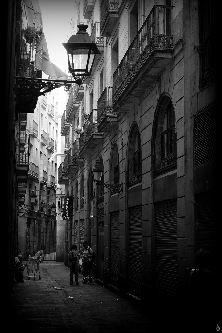 Gotic   ...   dunkle Schluchten   ©D1091_BW--Vib-B5c