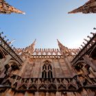 Gotic Duomo