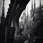 Gotic view