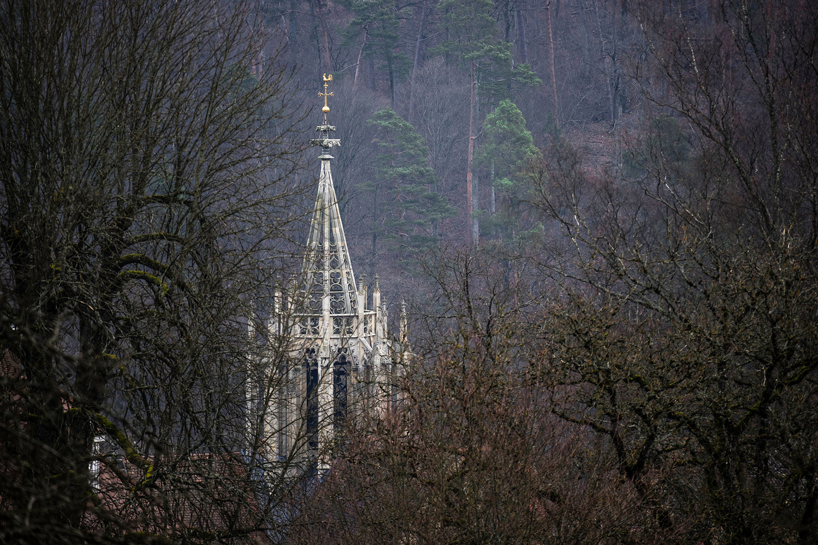 Gotik im Wald