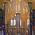 # gotischer Kapitelsaal in Wells #