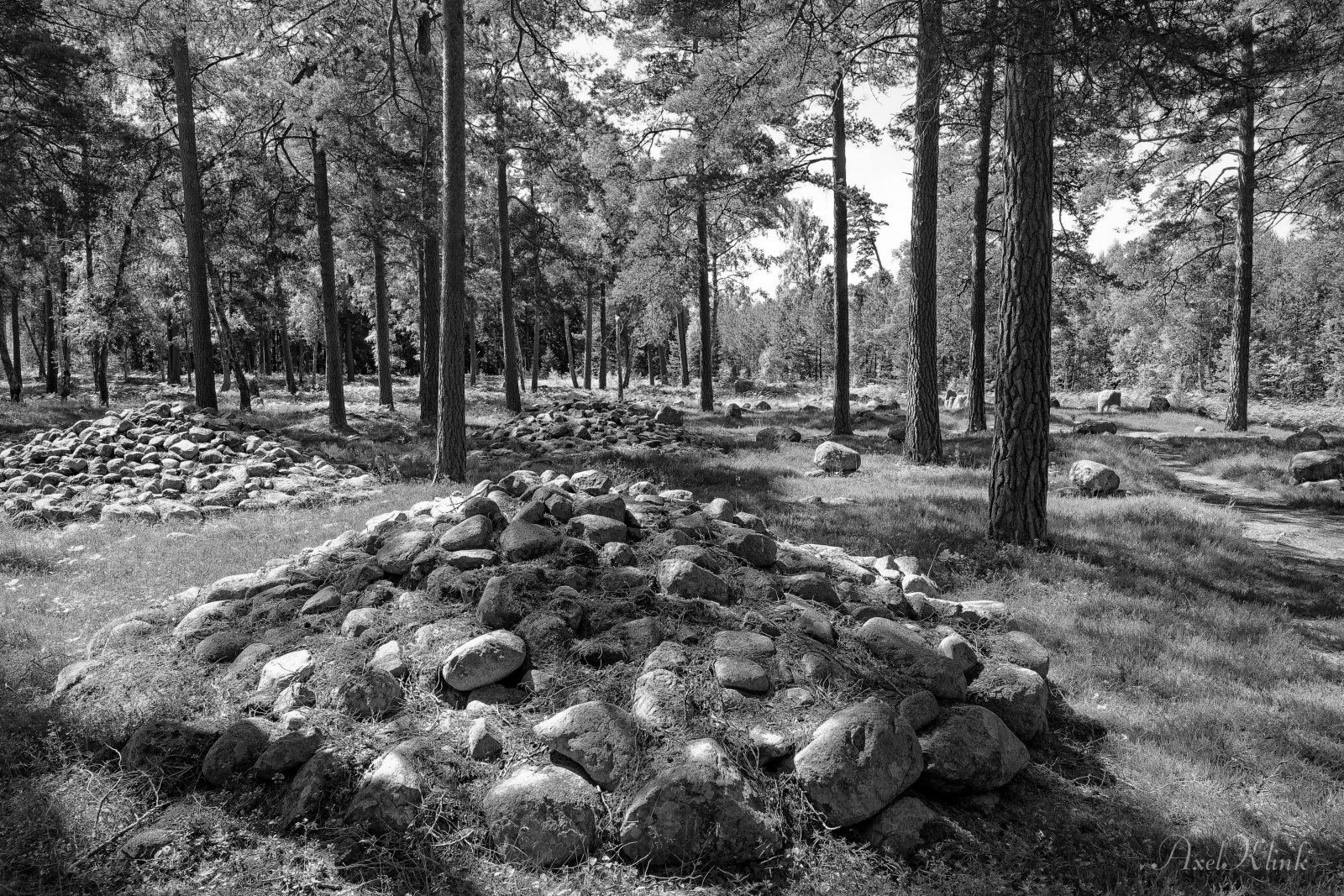 Gotland, Friedhof aus der Eisenzeit