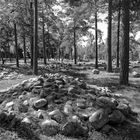 Gotland, Friedhof aus der Eisenzeit