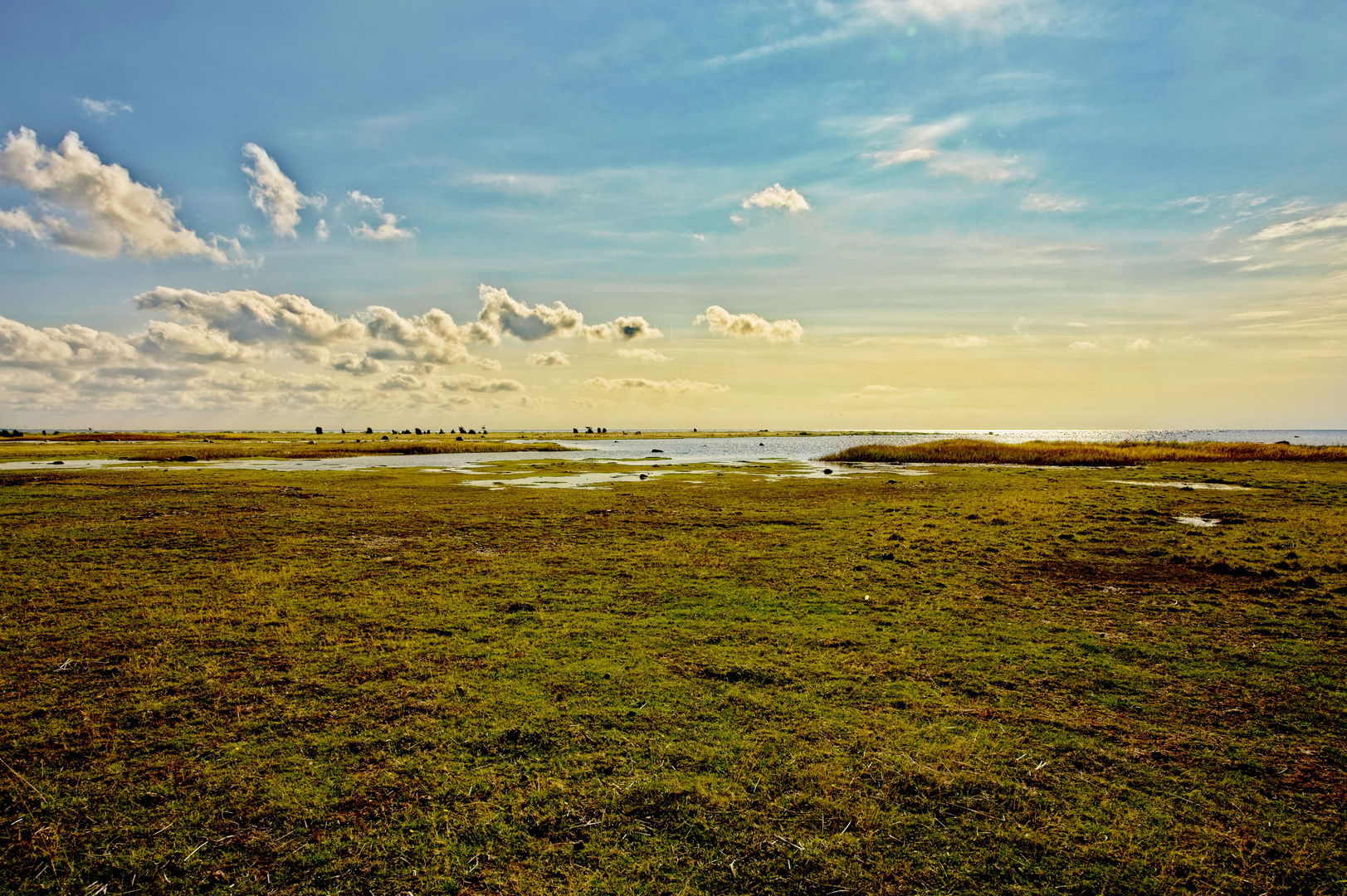 Gotland - Küstenwiese