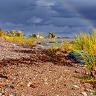 Gotland - rötlicher Steinstrand