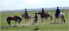 Gotscha - Rodeo auf mongolisch