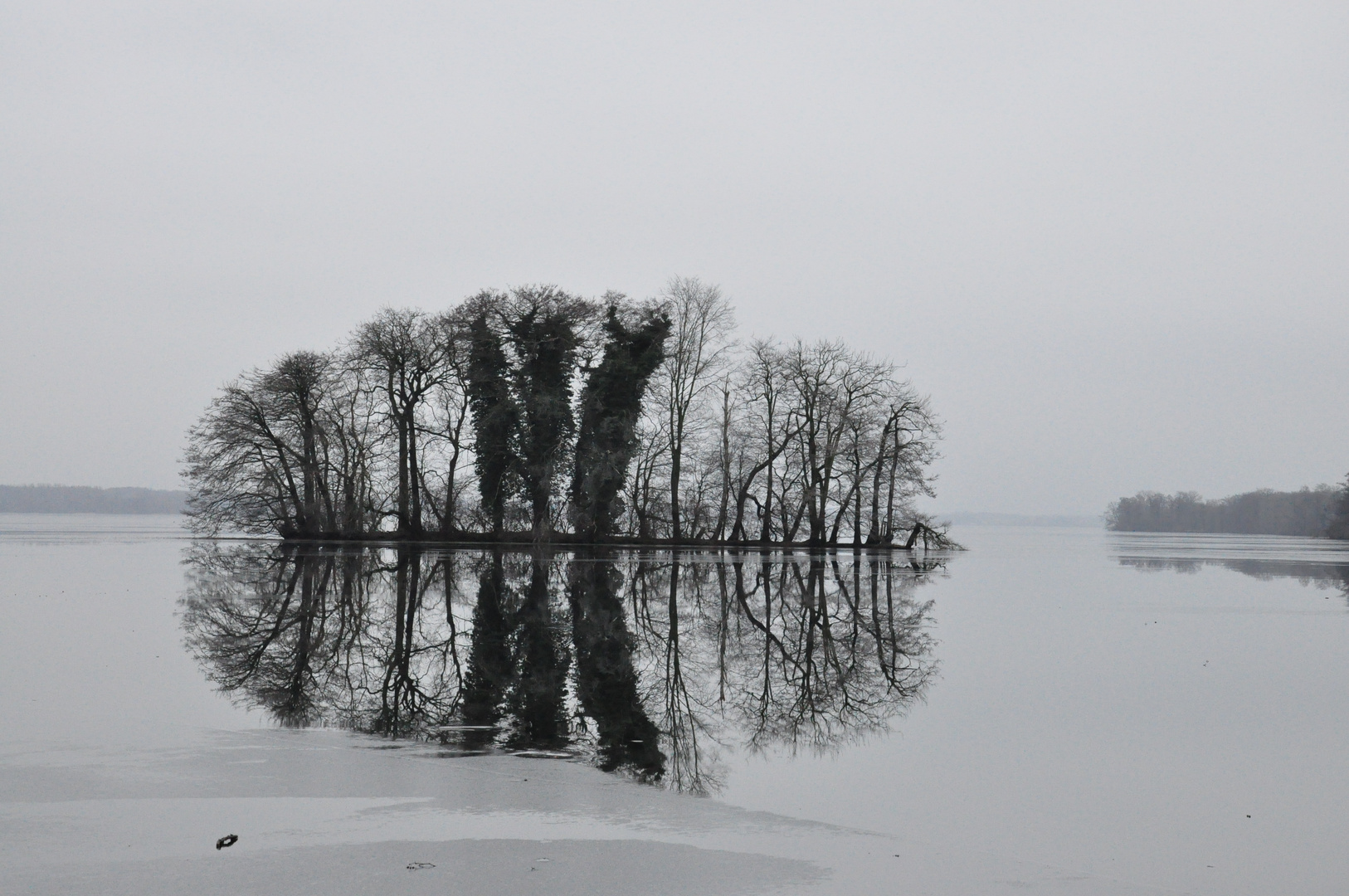 Gott schneidet keine Hecken...