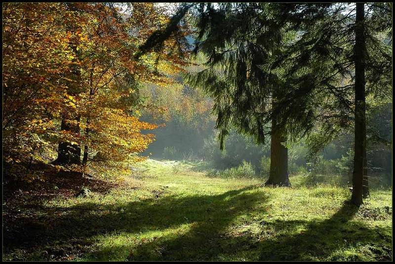 Gott schütze Rheinland-Pfalz II