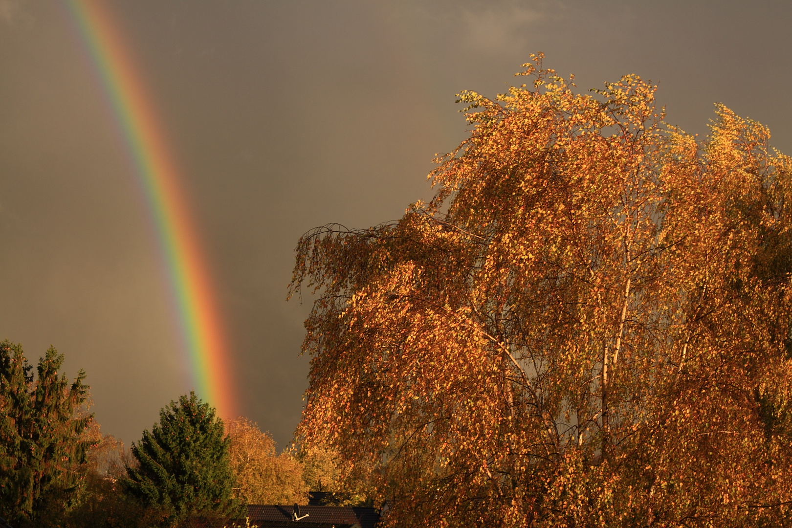 Gottes Bund - der Regenbogen