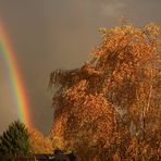 Gottes Bund - der Regenbogen