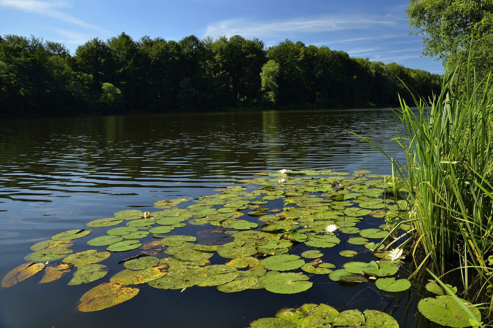 Gottes Hülfe Teich 3 Foto & Bild wasser, seen, fluss, wasser, teich
