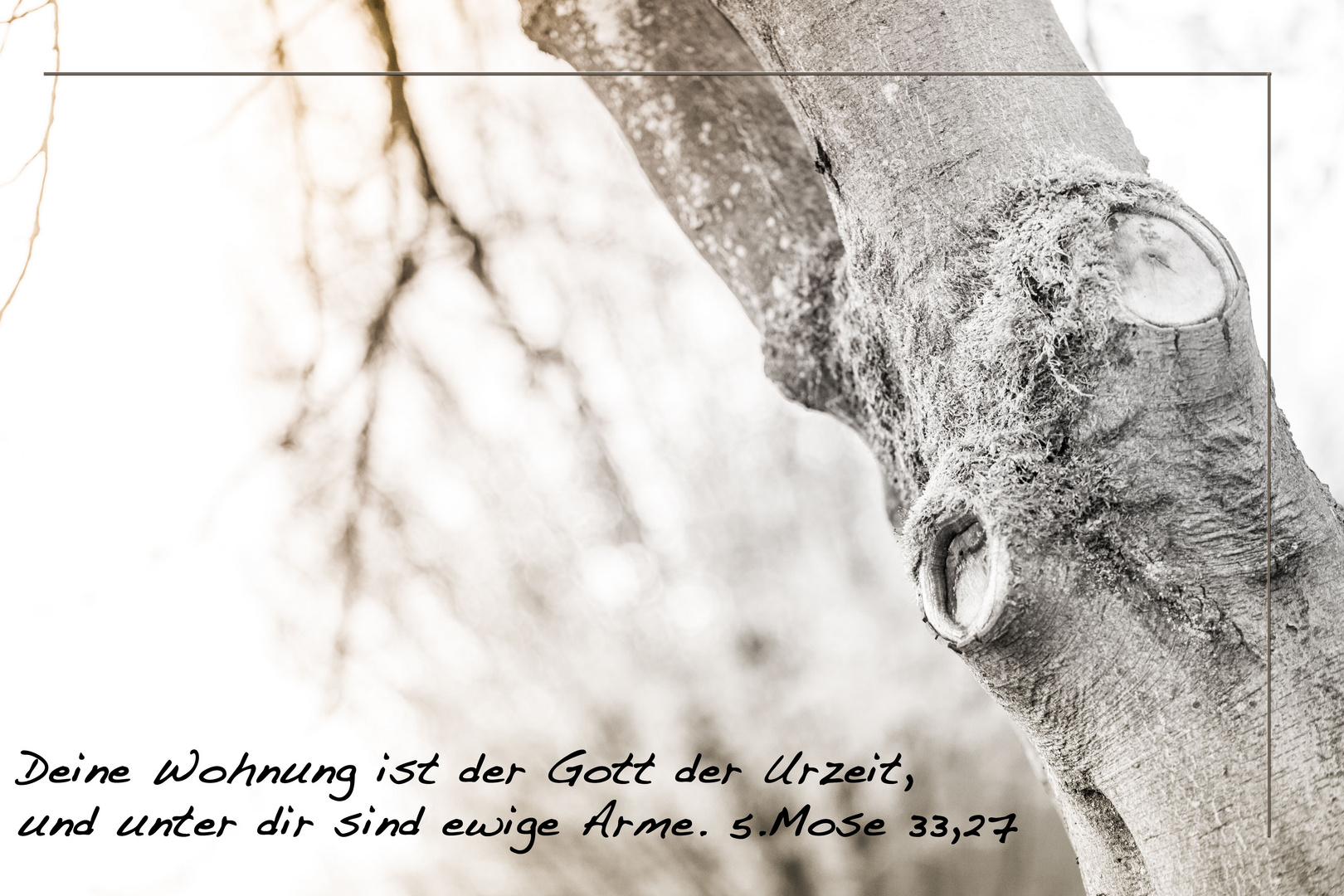 ---- Gottes Kraft ----