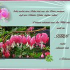 Gottes Liebe