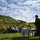 Gottesdienst im Weinberg