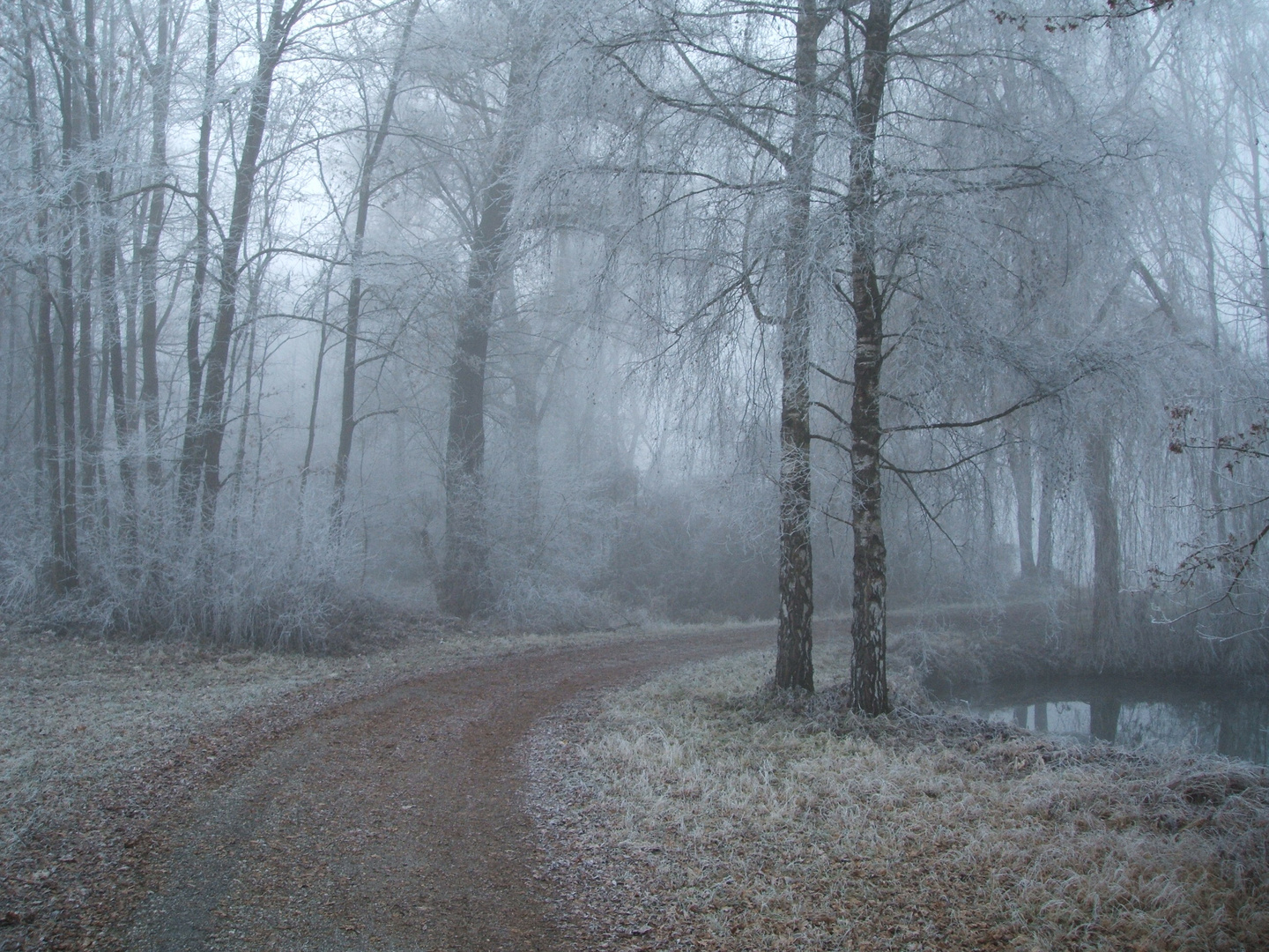 Gottfrieding im Dezember