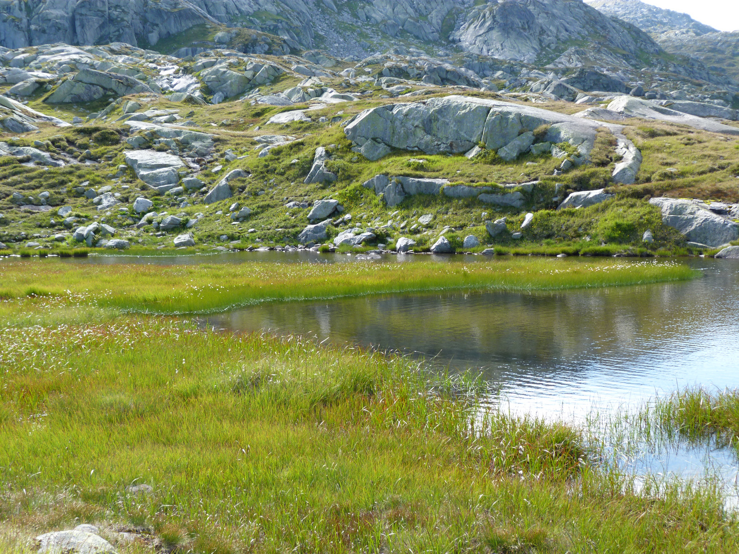 Gotthard Pass - die unberührte Natur