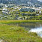 Gotthard Pass - die unberührte Natur