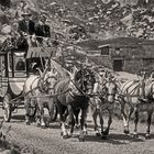 Gotthardpost mit Pferden