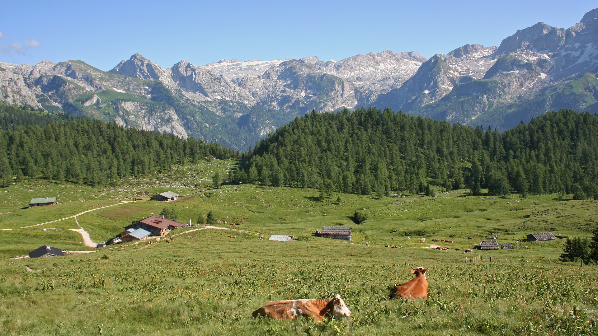 Gotzenalm (IMG_5867_ji)