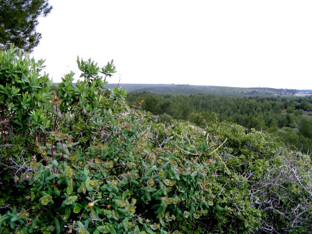 gouffre de l'oeil