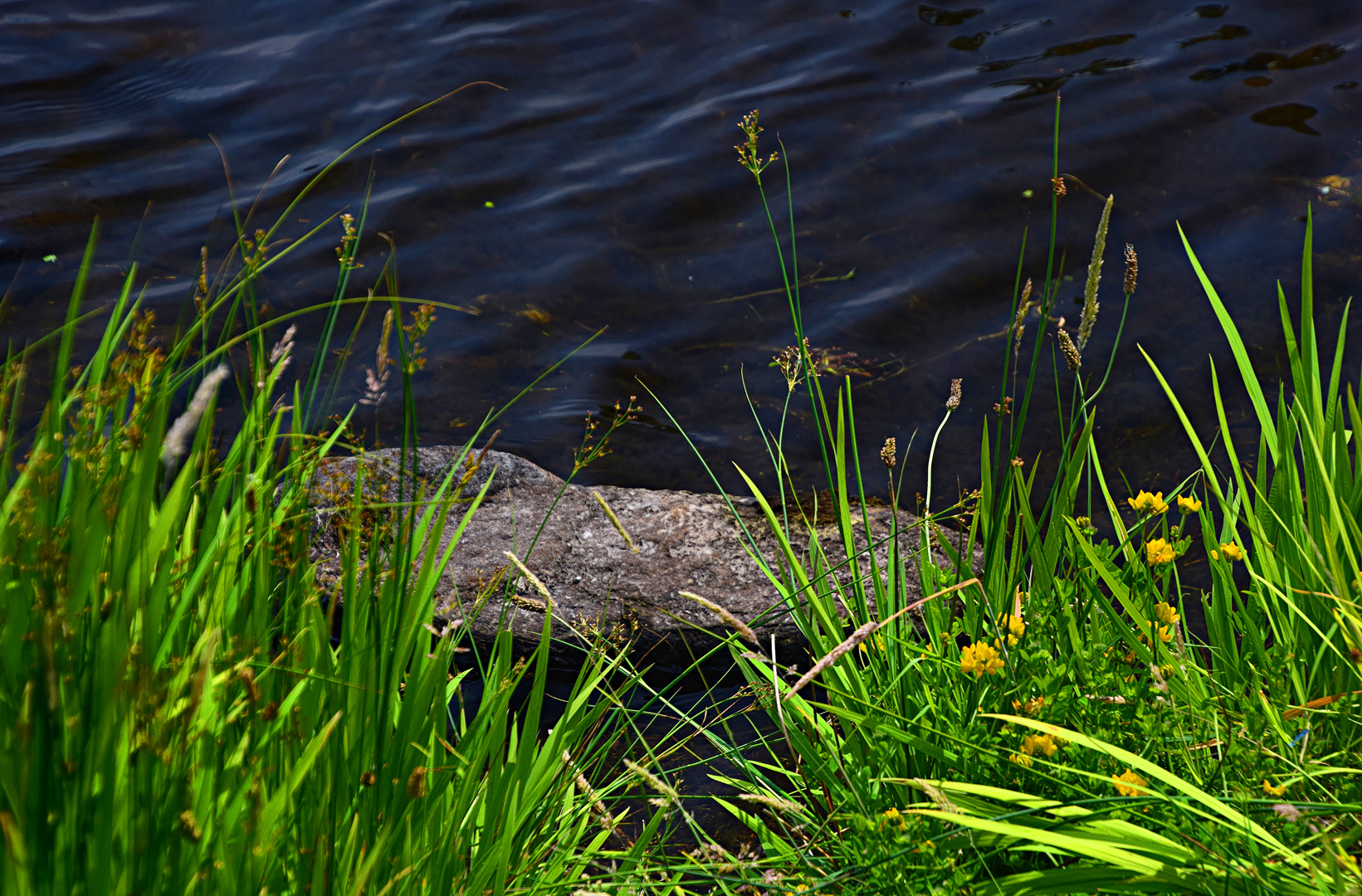 Gouganebarra Lake / Irland