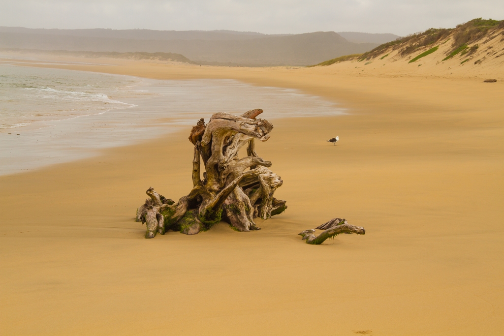 Goukamma Nature Reserve Beach