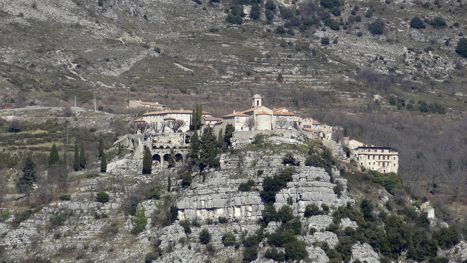 Gourdon sur son nid d'aigle