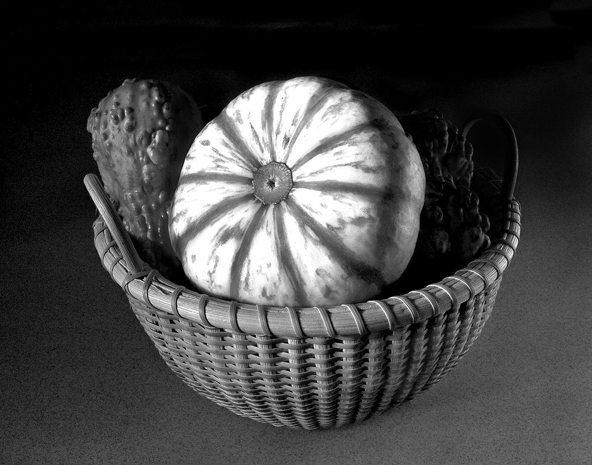 Gourds - Still Life