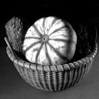 Gourds - Still Life