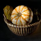 Gourds_Still Life 2