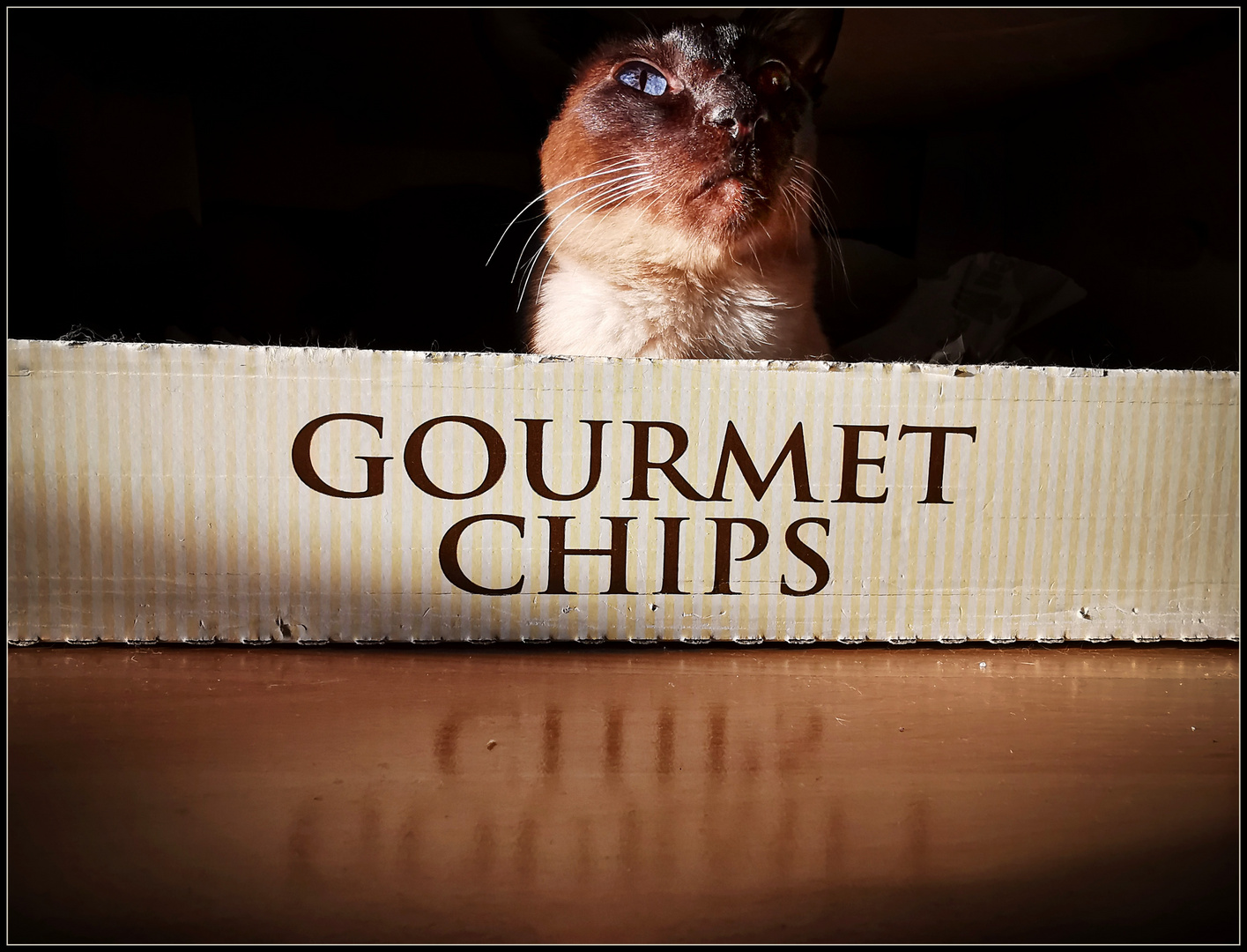 Gourmet Chips und mehr