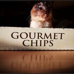 Gourmet Chips und mehr