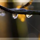 Goutte à goutte