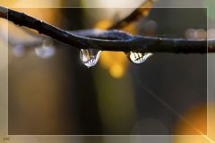 Goutte à goutte