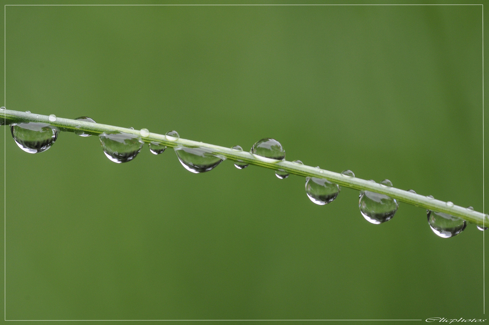 Goutte d'eau