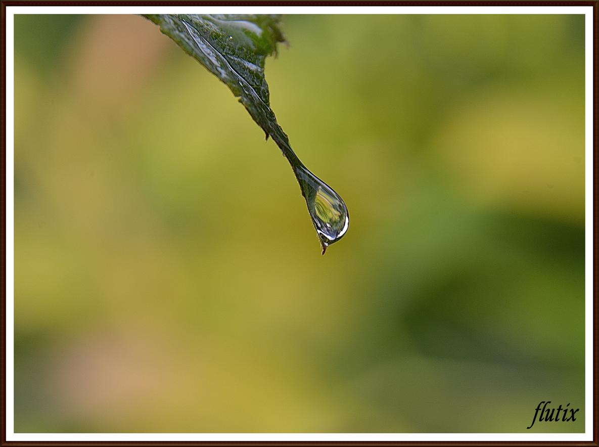 goutte d'eau