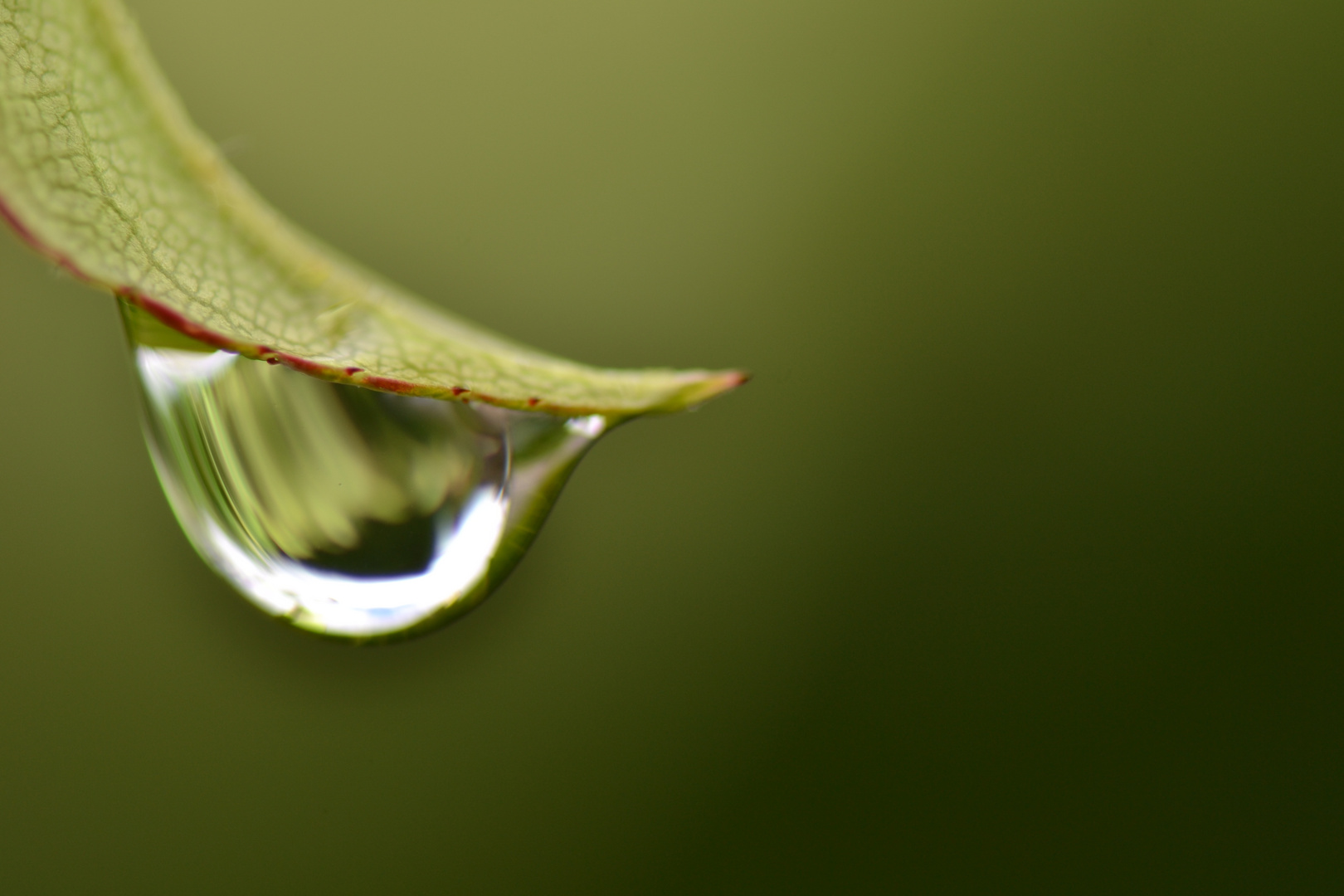 Goutte d'Eau